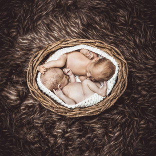 Zwillingsbabys / Babyfoto Pinneberg